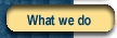 What we do